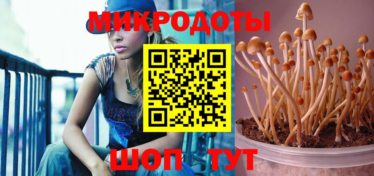 Галлюциногенные грибы мухоморы Кунгур